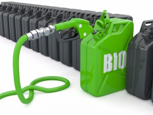 9915083-biofuel-gas-pump-nozzle-and-jerrycan